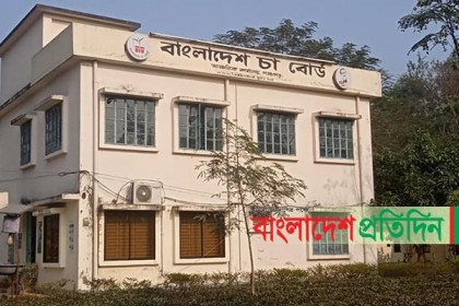 সমতলে ১ কোটি কেজির বেশী চা উৎপাদন, করোনাকালে রেকর্ড