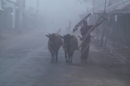 কনকনে শীতে নীলফামারীতে স্থবির জনজীবন 