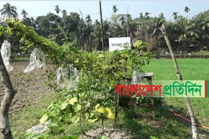 জমির সদ্ব্যবহারে মডেল রহমতপুর কৃষি প্রশিক্ষণ ইন্সটিটিউট