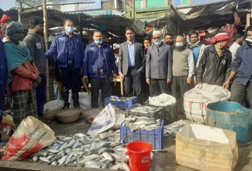 পটুয়াখালীতে ১০ মণ জাটকা জব্দ, তিন বিক্রেতাকে জরিমানা