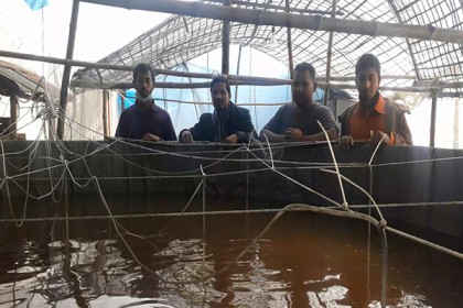 পঞ্চগড়ে নতুন সম্ভাবনা বায়োফ্লক পদ্ধতিতে মাছ চাষ