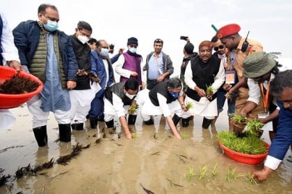 বগুড়ায় শস্যচিত্রে বঙ্গবন্ধুর প্রতিকৃতি সৃষ্টিতে পদযাত্রা শুরু 