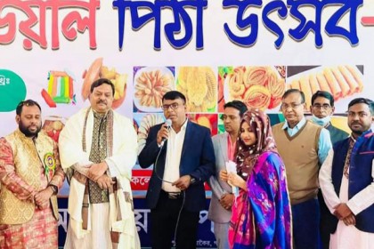 
কালিয়াকৈরে পিঠা উৎসব 
