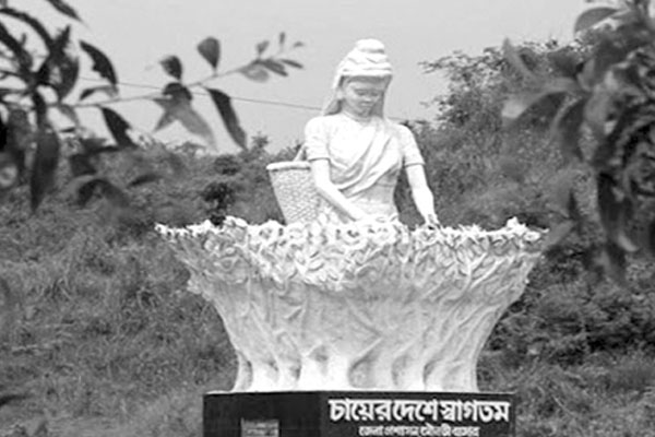 নেই সাব-রেজিস্ট্রার দুর্ভোগে শ্রীমঙ্গলবাসী