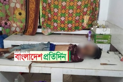 বিজয়নগরে ট্রাক-পিকআপের সংঘর্ষে চালক নিহত, আহত ৪