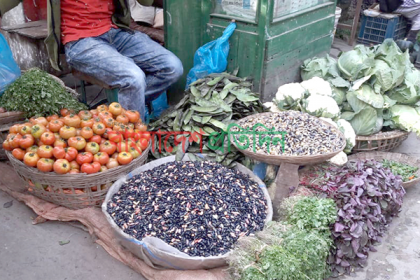 মৌসুমেও দ্বিগুণ সবজির দাম, বিপাকে সাধারণ মানুষ
