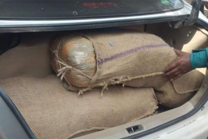 টঙ্গীতে ২৫ কেজি গাঁজাসহ ২ মাদক কারবারি আটক