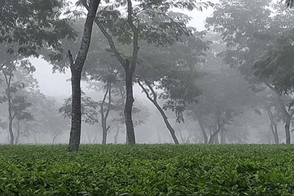 শ্রীমঙ্গলে দেশের সর্বনিম্ন তাপমাত্রা ৫.৫ ডিগ্রি সেলসিয়াস রেকর্ড