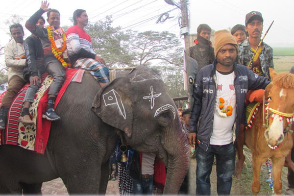 শিবগঞ্জে কাউন্সিলরের আনন্দ মিছিল