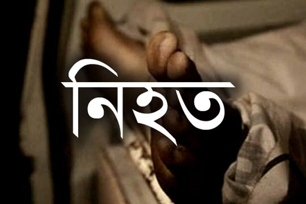 নীলফামারীতে ট্রাকচাপায় সাইকেল আরোহী নিহত