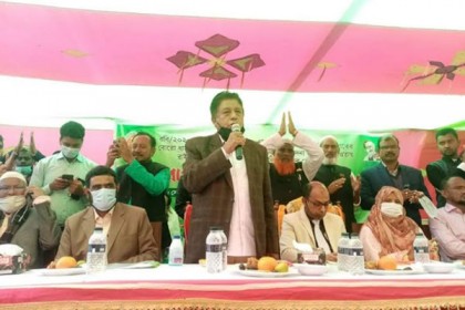 বরগুনায় ধানের চারা রোপনের উদ্ভোধন