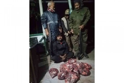 সুন্দরবনে  ২০ কেজি হরিণের মাংসসহ পাচারকারী আটক 