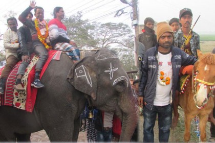 শিবগঞ্জে কাউন্সিলরের আনন্দ মিছিল
