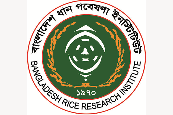 খাদ্য নিরাপত্তা ও নীতি গবেষণায় দক্ষিণ এশিয়ায় শীর্ষ গবেষণা সংস্থা ব্রি