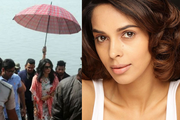 ওয়েব দুনিয়ায় পা রাখছেন মল্লিকা