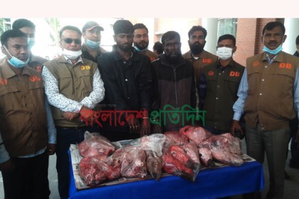 সুন্দরবনে থামছে না হরিণ শিকার, ৪২ কেজি মাংসসহ আরও দু’জন আটক