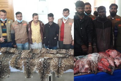 বাঘ-হরিণ শিকার রোধে শরণখোলা রেঞ্জে রেড অ্যালার্ট