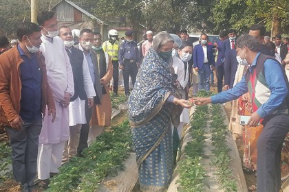 প্রধানমন্ত্রী সব সময় উদ্যোক্তাদের পাশে আছেন : শিক্ষামন্ত্রী