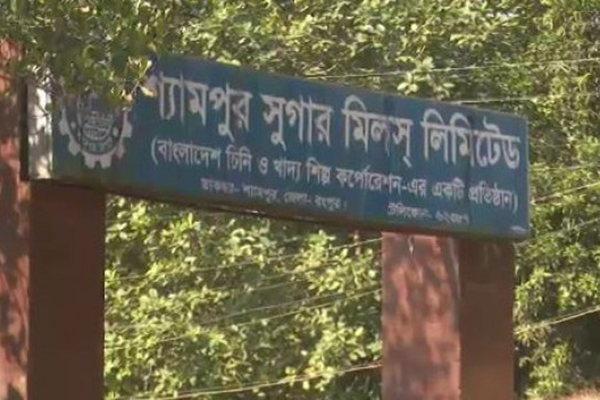 শ্যামপুরের চিনি কল বন্ধে বিপাকে আখ চাষিরা