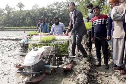 রাইস ট্রান্সপ্লান্টারে চারা রোপণ লক্ষ্মীপুরে