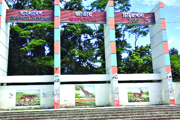 চিড়িয়াখানায় দেখা যাবে ডলফিন শো