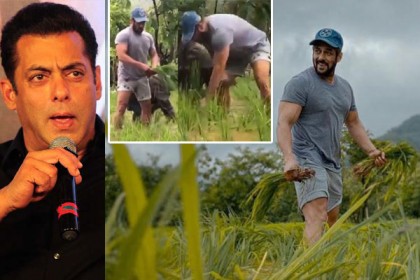 অবশেষে কৃষক আন্দোলন নিয়ে মুখ খুললেন সালমান