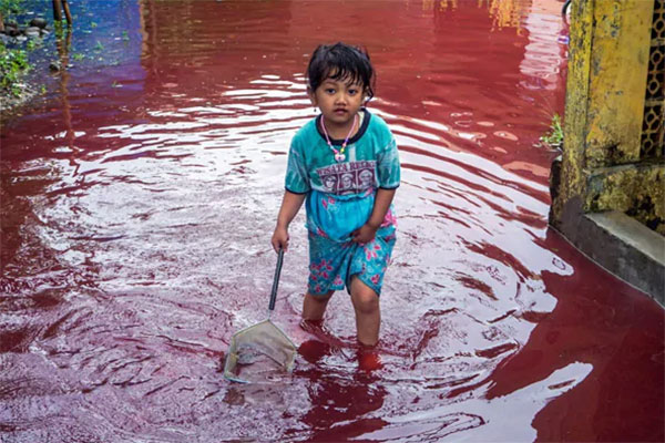 হঠাৎ লাল পানিতে ডুবে গেল গোটা গ্রাম!

