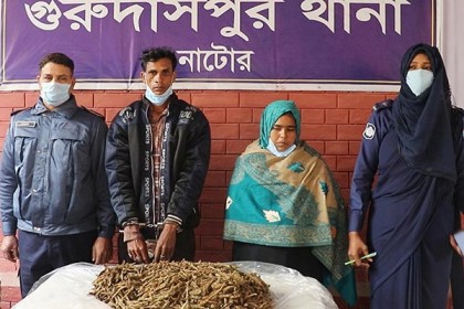 গুরুদাসপুরে আড়াই কেজি গাঁজাসহ আটক ২