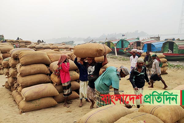 ক্রেতা সংকটে দেশের পূর্বাঞ্চলের সবচেয়ে বড় ধানের হাট