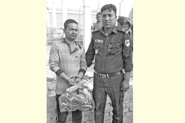 হরিণের মাংসসহ পাচারকারী আটক