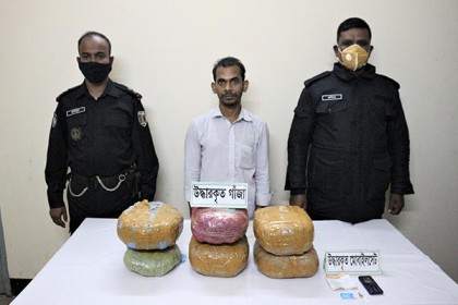 সিরাজগঞ্জে ১০ কেজি গাঁজাসহ মাদক ব্যবসায়ী গ্রেফতার