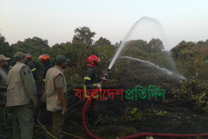 সুন্দরবনে আগুন, ৫ শতক বন পুড়ে ছাই