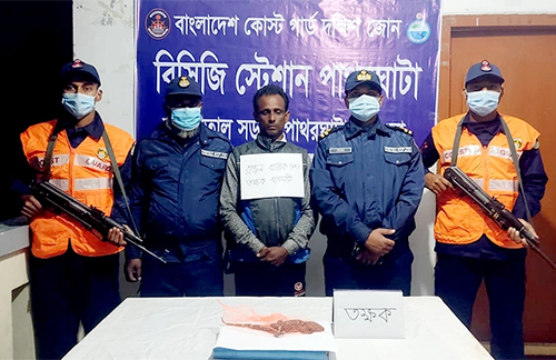 পাথরঘাটায় তক্ষকসহ পাচারকারী আটক 
