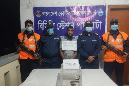 পাথরঘাটায় তক্ষকসহ একজন আটক