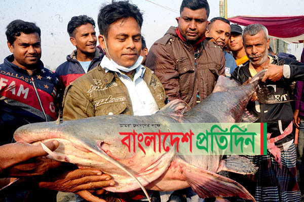 জমজমাট বগুড়ার পোড়াদহ মেলা, লাখ টাকায় বিক্রি হলো বাঘাইড়

