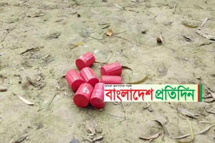 শাহজাদপুরে কৃষকের সবজি বাগান থেকে ৭টি ককটেল উদ্ধার