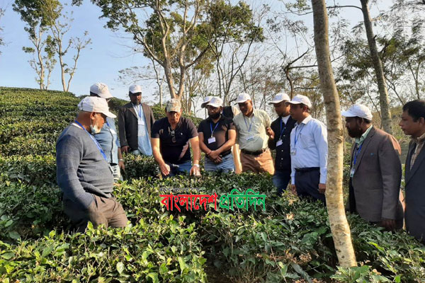 উত্তরবঙ্গের চা চাষিদের শ্রীমঙ্গলে মোটিভেশনাল শিক্ষা সফর