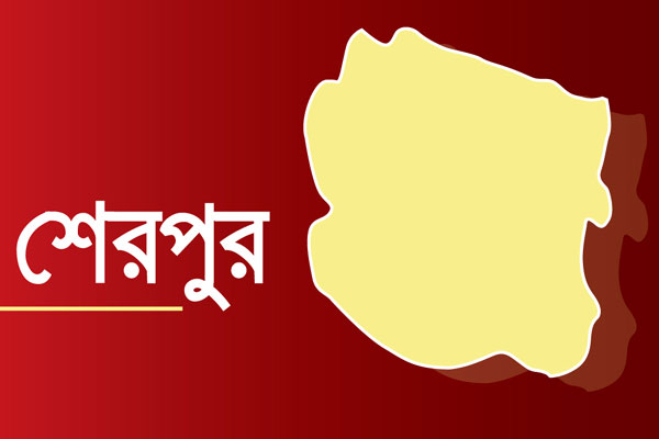 ছাগলে সুপারি গাছ খাওয়াকে কেন্দ্র করে ঝগড়ায় বৃদ্ধ নিহত