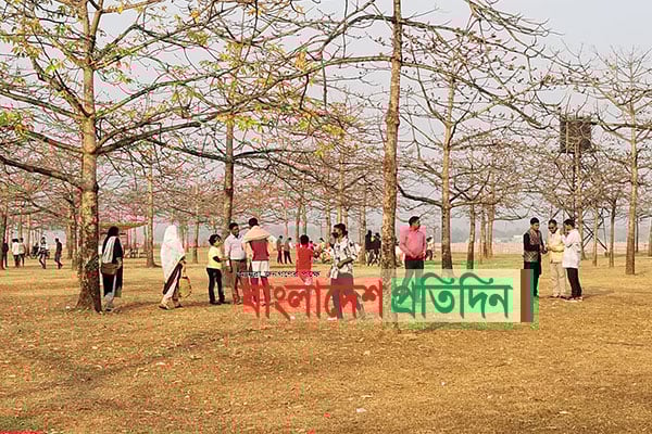 বসন্তে তাহিরপুর শিমুল বাগানে পর্যটকদের আনাগোনা

