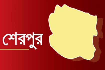 ছাগলে সুপারি গাছ খাওয়াকে কেন্দ্র করে ঝগড়ায় বৃদ্ধ নিহত