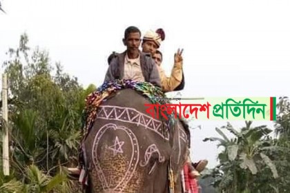 হাতির পিঠে চড়ে বাল্যবিয়েতে বর, পুলিশ আসার খবরে ষোড়শী কনে নিয়ে চম্পট

