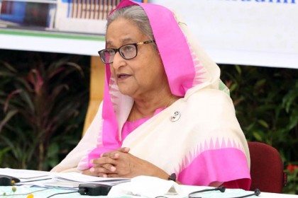 সবাই খুব আগ্রহ ভরে টিকা নিচ্ছে: প্রধানমন্ত্রী

