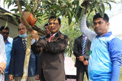 পিরোজপুরে চলছে 'সহস্র বিহঙ্গ নীড়' কর্মসূচি 
