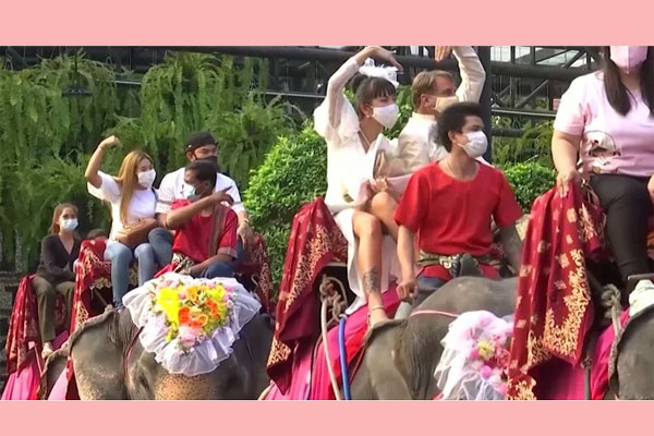 ভালোবাসা দিবসে হাতির পিঠে চড়ে ৫৯ দম্পতির বিয়ে! (ভিডিও)