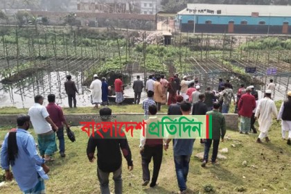 
কিশোরগঞ্জে ভাসমান কৃষির আধুনিক প্রযুক্তির উপর কৃষক প্রশিক্ষণ