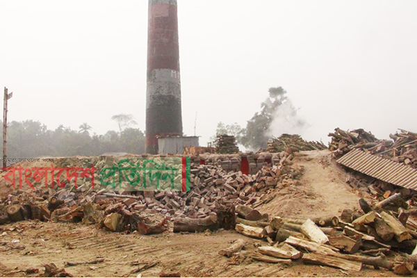 অবৈধ চার ইটভাটাকে ৪ লাখ টাকা জরিমানা
