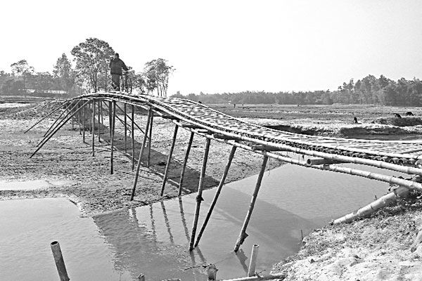 বাঁশের সাঁকোয় পারাপার