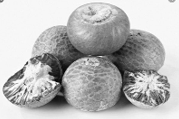 সুপারি