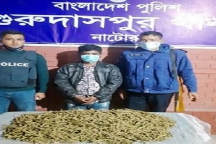 গুরুদাসপুরে দুই কেজি গাঁজাসহ মাদক ব্যবসায়ী আটক