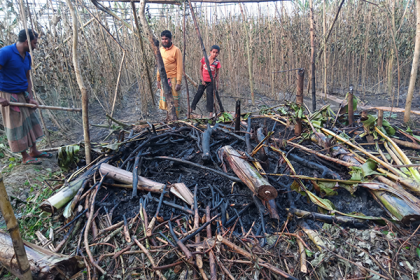 হরিণাকুন্ডুতে আগুনে পুড়ে ছাই পানক্ষেত